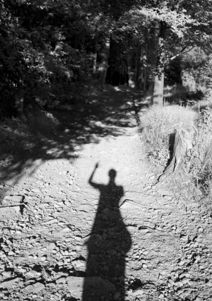 Silhouette Humaine Sur Sentier Forestier — Photo