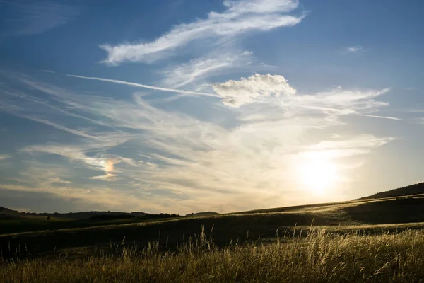 Scenic View Golden Sunset Sky Fluffy Clouds Spring Grassland — Stock Photo, Image