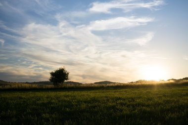 Bahar otlak üzerinde kabarık bulutlar ile altın günbatımı gökyüzü Manzara görünümü 