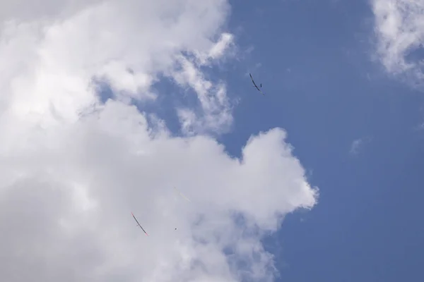 Pássaros Voando Fundo Céu Azul Bonito Com Nuvens Brancas — Fotografia de Stock