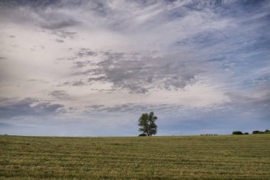 güzel dağ manzarası