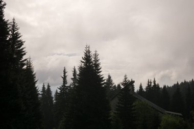 Slovakya 'daki güzel dağ manzarası