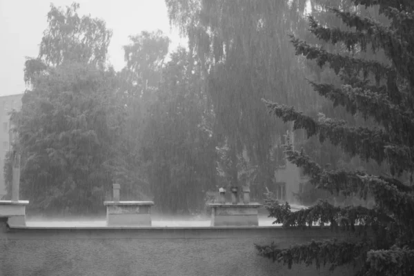 雨天的建筑物和树木 — 图库照片