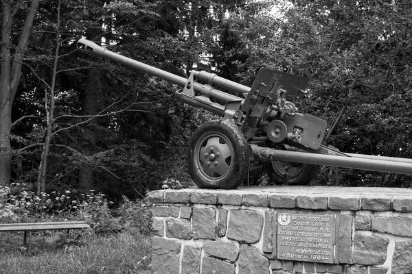 森の近くの古い大砲の像 — ストック写真