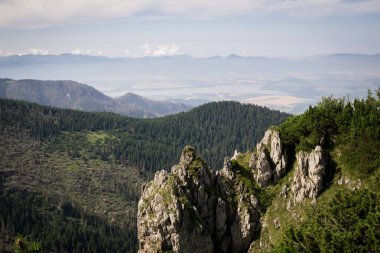 Tepelerde yeşil orman ile kayalık dağ manzara Manzara görünümü 