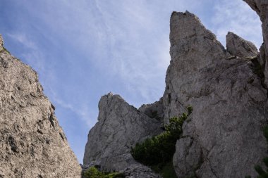 Tepelerde yeşil orman ile kayalık dağ manzara Manzara görünümü 