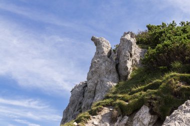 Tepelerde yeşil orman ile kayalık dağ manzara Manzara görünümü 
