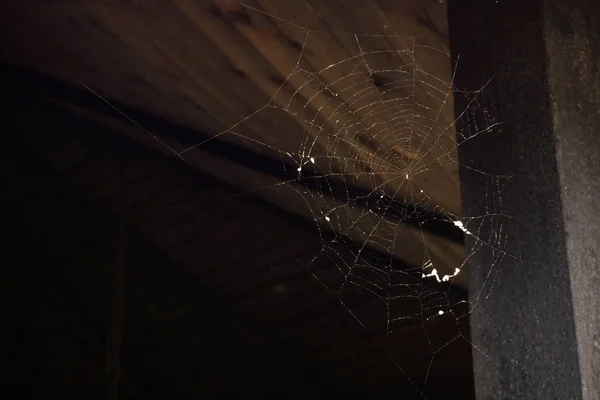 Pókháló Sötét Szobában — Stock Fotó