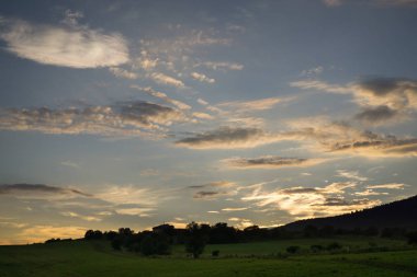 Ağaçlı yeşil çayır üzerinde gün doğumu