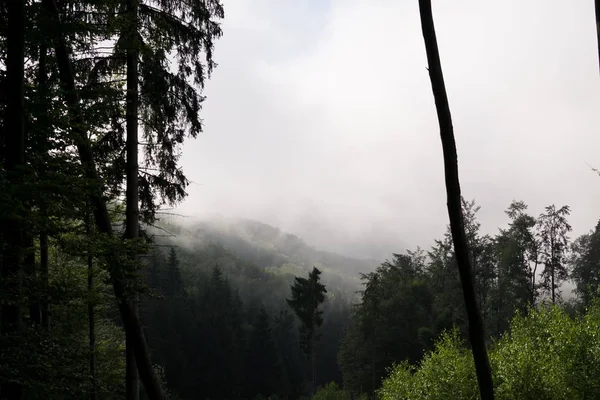 Utsikten Till Dalen Täckt Moln Inversion Från Berg Slovakien — Stockfoto