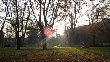 Sonbahar parkında güneş parlıyor.