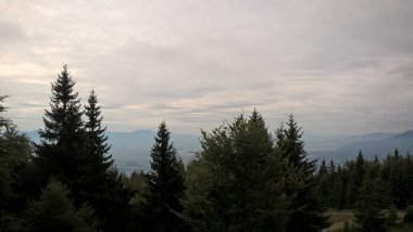 Bulutlu bir günde Yeşil Dağ Ormanı