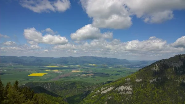 Lindas Montanhas Verão Paisagem — Fotografia de Stock