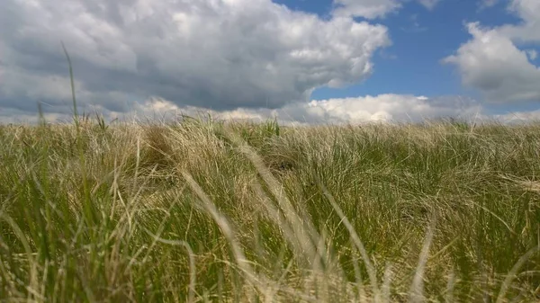 gün batımında alan. Slovakya