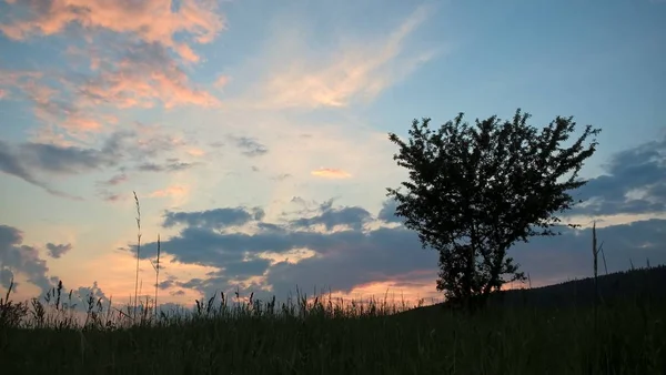 Čas Západu Slunce Nad Loukou — Stock fotografie