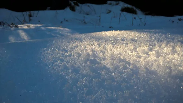 Природа Вкрита Снігом Глибоку Зиму — стокове фото