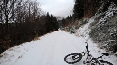 Dağlarda kış ormanı patikası.