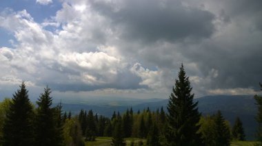 Gökteki dağ ormanı