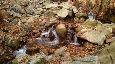 Ormanda taşlı güzel bir şelale.