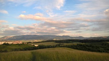 Gündüz vakti dağ çayırı manzarası