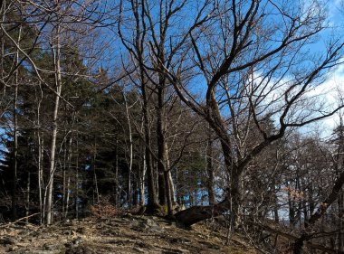 Gündüzleri güzel dağ manzarası