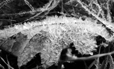 Kış mevsiminde kar tabakası ve buz tabakası.. 