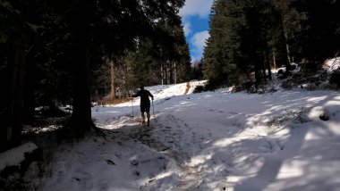 Adam kış ormanında yürüyüş yapıyor.