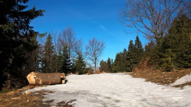 Güneşli bir günde kış manzarası
