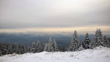 kış arka planda ormanda bisiklet