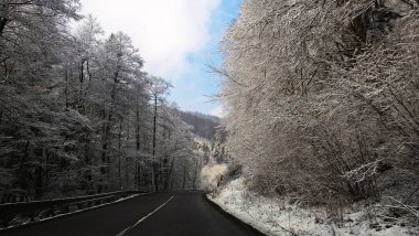 Karlı kış ormanlarında yol. 