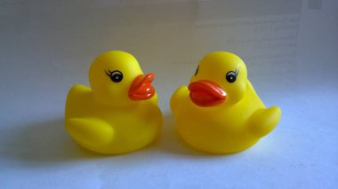 İki sarı oyuncak ördek