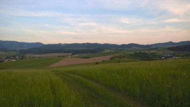 Güneşli bir günde güzel çayır manzarası