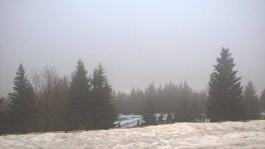 Kış boyunca kar altında doğa. Slovakya 