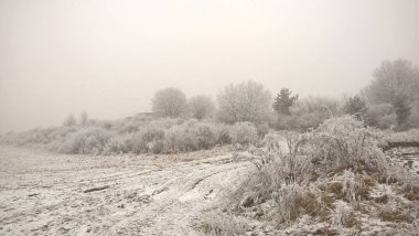 Ormanda güzel kış 