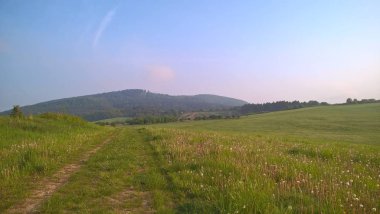 Güneşli bir günde çayır manzarası