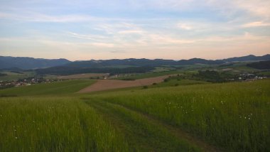 Güneşli bir günde güzel çayır manzarası