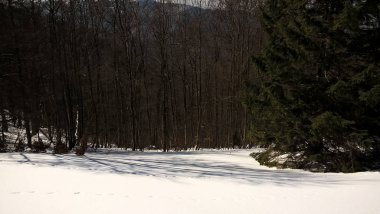 Gündüz vakti karlı kış manzarası 