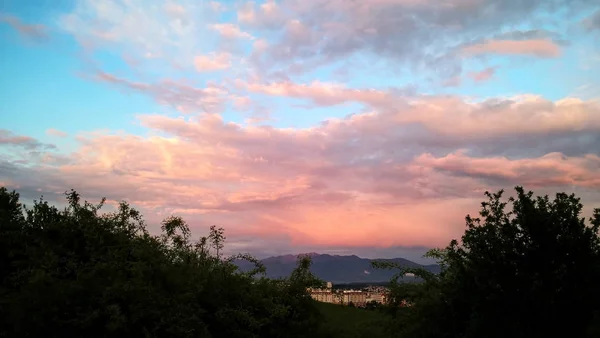 Wiesenlandschaft Bei Sonnenuntergang — Stockfoto