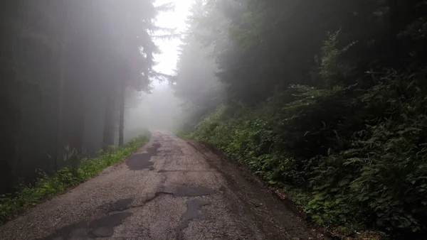 Straßenweg Nebligen Wald — Stockfoto