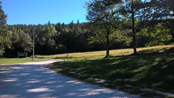 Sentier Routier Dans Parc Vert — Photo