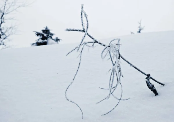 Natureza Coberta Neve Durante Inverno Profundo Eslováquia — Fotografia de Stock