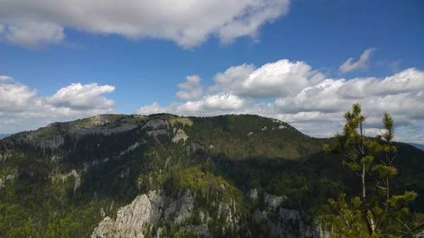 Schöne Sommerliche Berglandschaft — Stockfoto