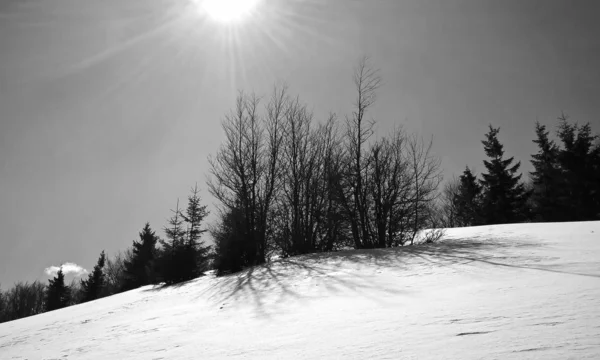 Śnieżny Zimowy Krajobraz Dzień — Zdjęcie stockowe