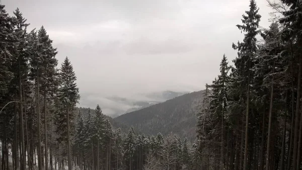 겨울에는 눈덮인 산속의 — 스톡 사진