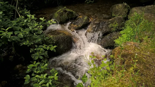 Pequena Cachoeira Montanha Floresta — Fotografia de Stock