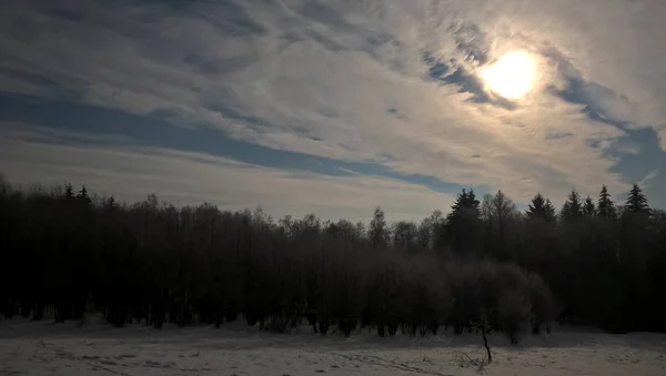 Piękna Zima Lesie — Zdjęcie stockowe