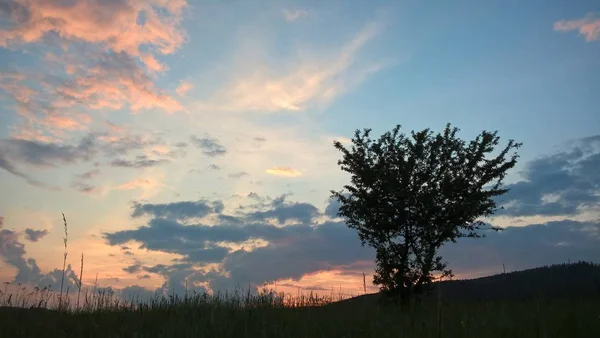 Čas Západu Slunce Nad Loukou — Stock fotografie