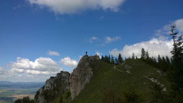 Ostra Pico Nas Montanhas Velka Fatra Eslováquia — Fotografia de Stock