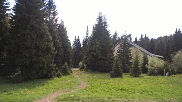 Котедж Зеленому Гірському Лісі — стокове фото