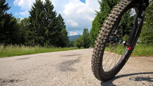 Sport Fiets Weg Het Bos — Stockfoto